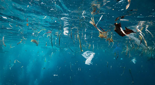 【关注】欧盟首次提出采取行动结束微塑料污染！