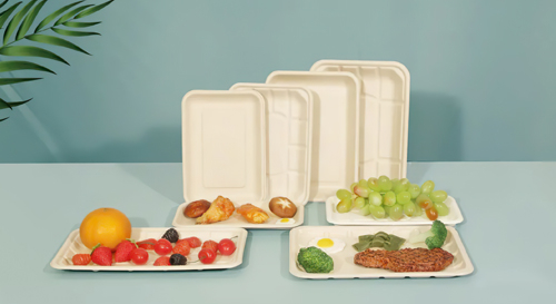 【科普】什么是单防双防可降解餐盒？什么是纸浆模塑覆膜餐盒？